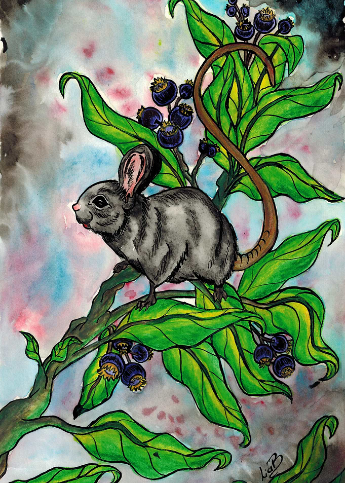 Little mouse