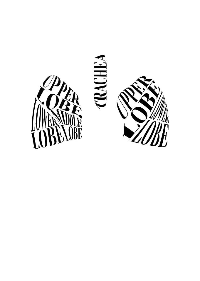Them lungs