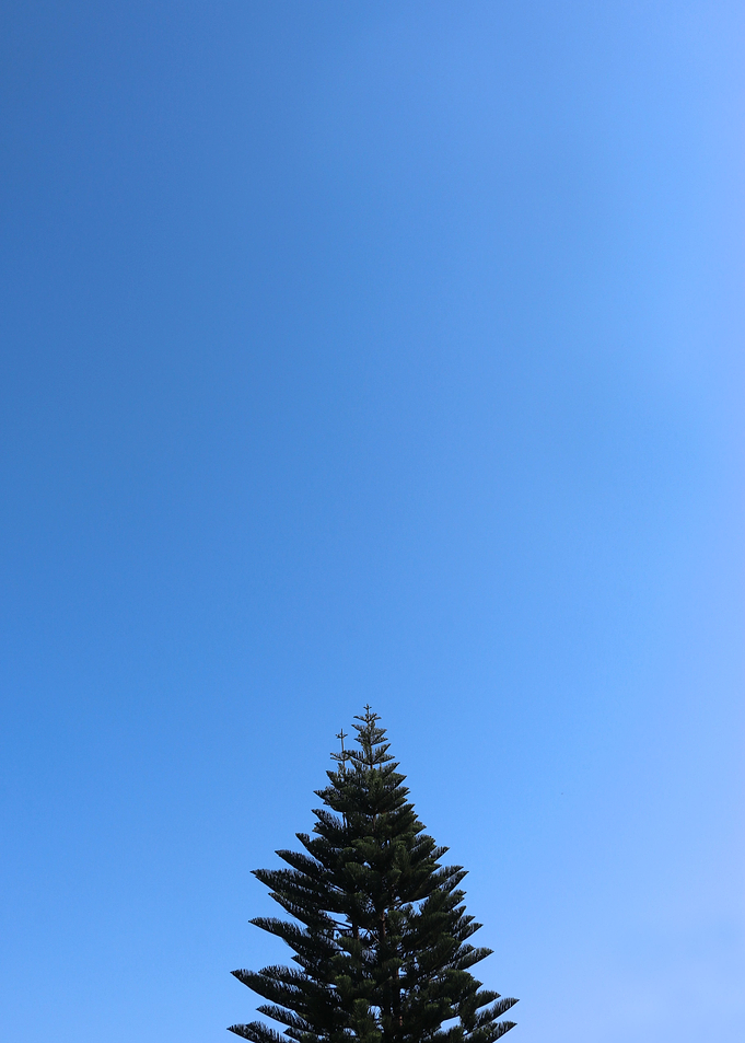 Beyond Tree