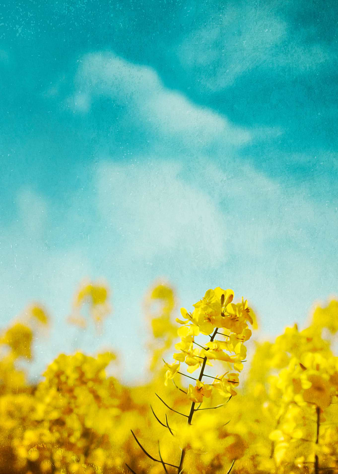 Springtime