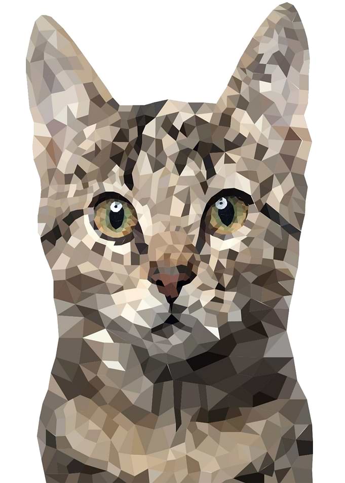 Cat illustration