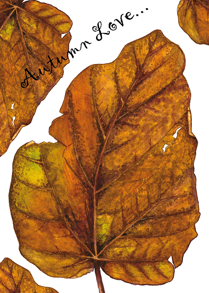 Fall leaves
