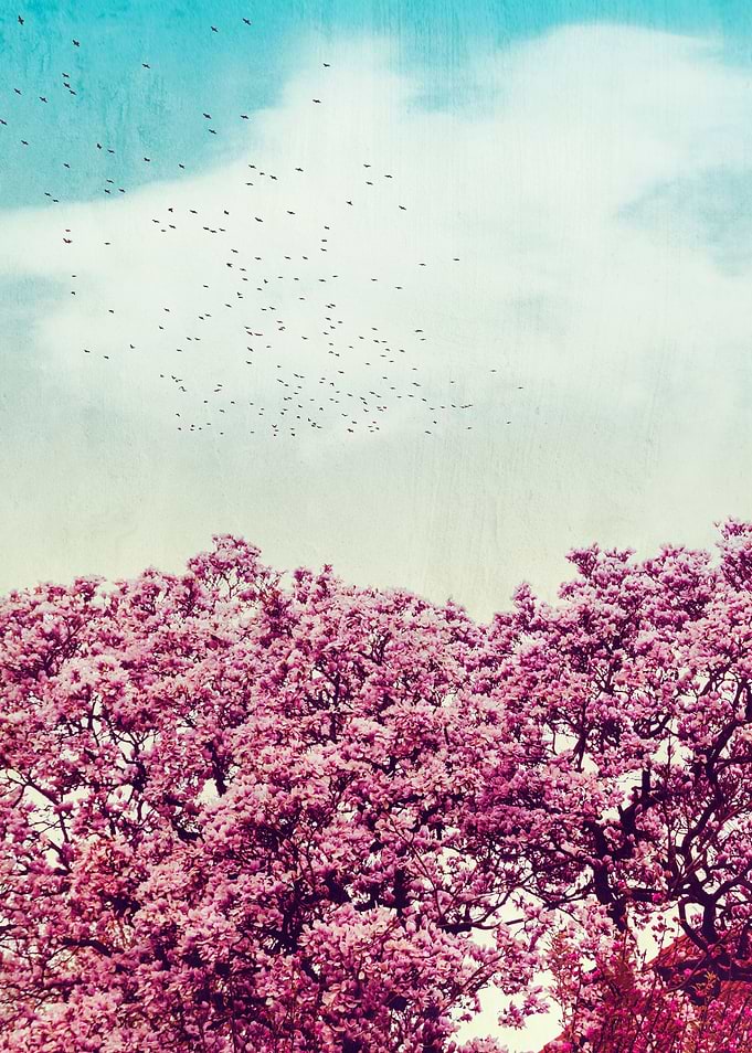 Colors of Spring