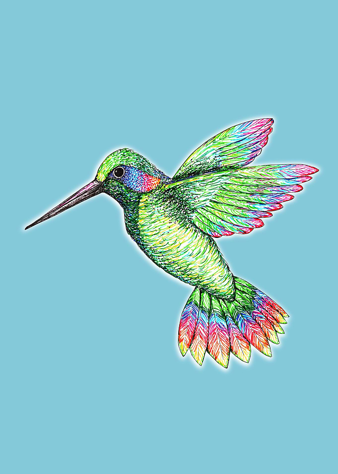 Hummingbird