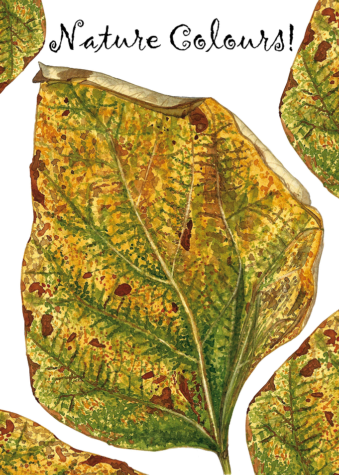 Autumn Leaf Green Yellow