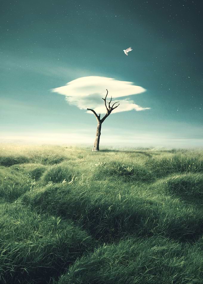 Cloud Tree