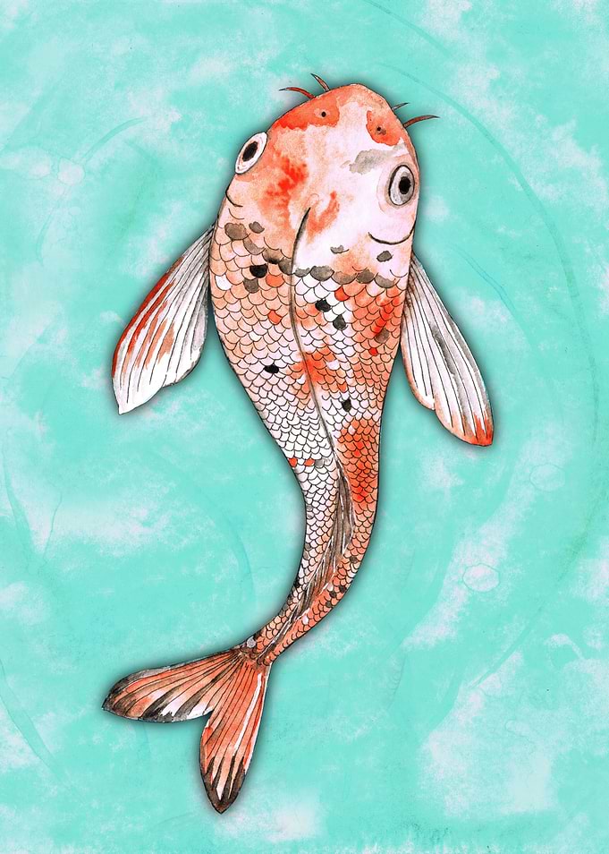 Koi