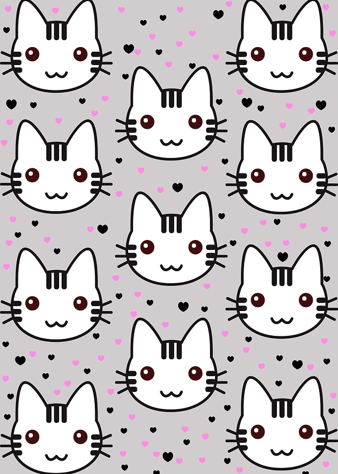 KITTENS