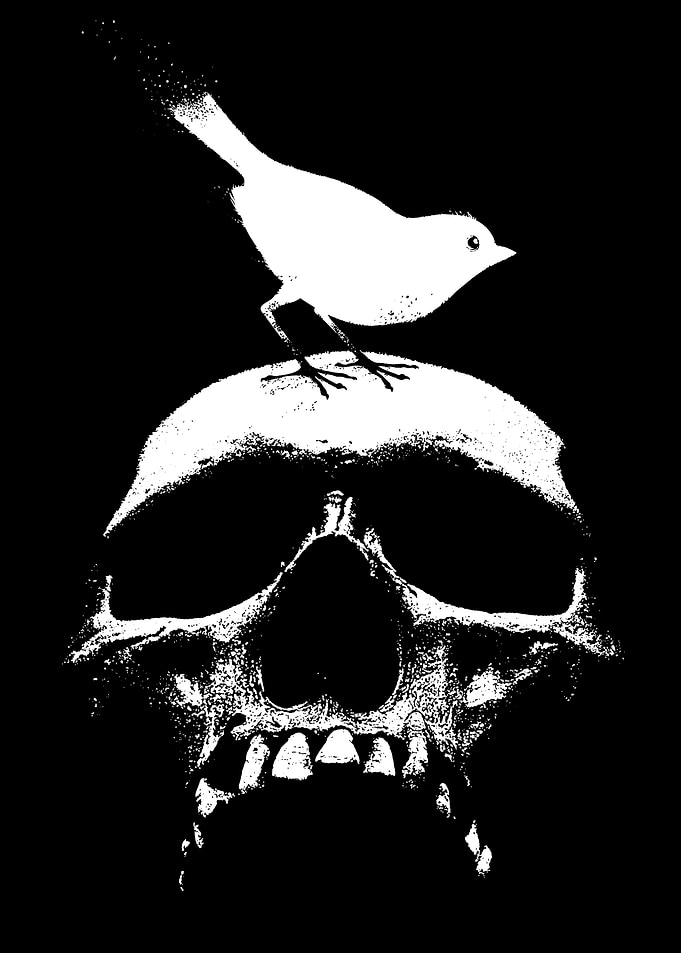 Spring Skull life and Deat