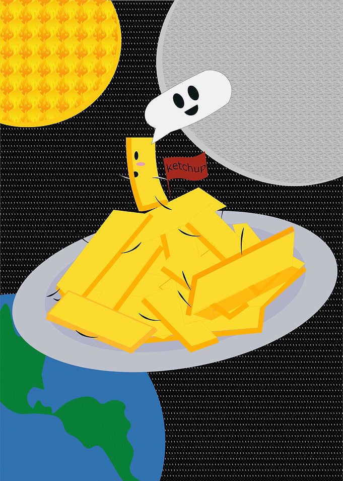 winner chip