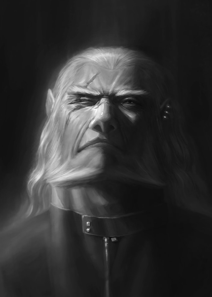 Portrait gado lion in br2