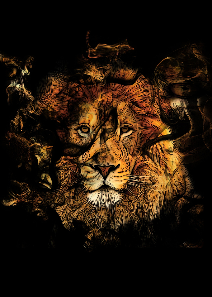 The King