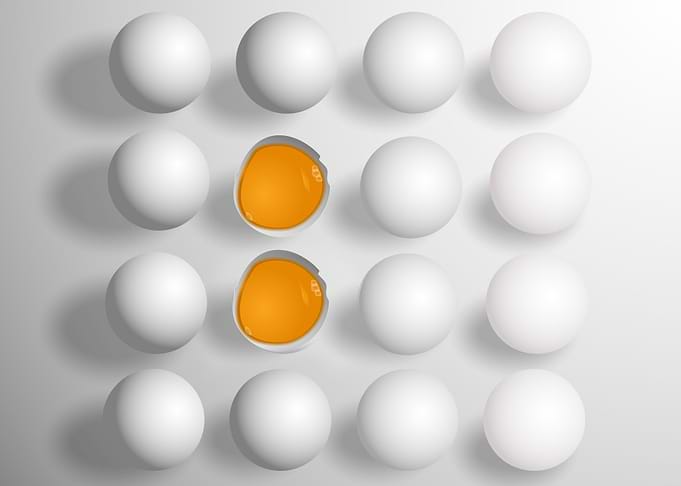 food egg