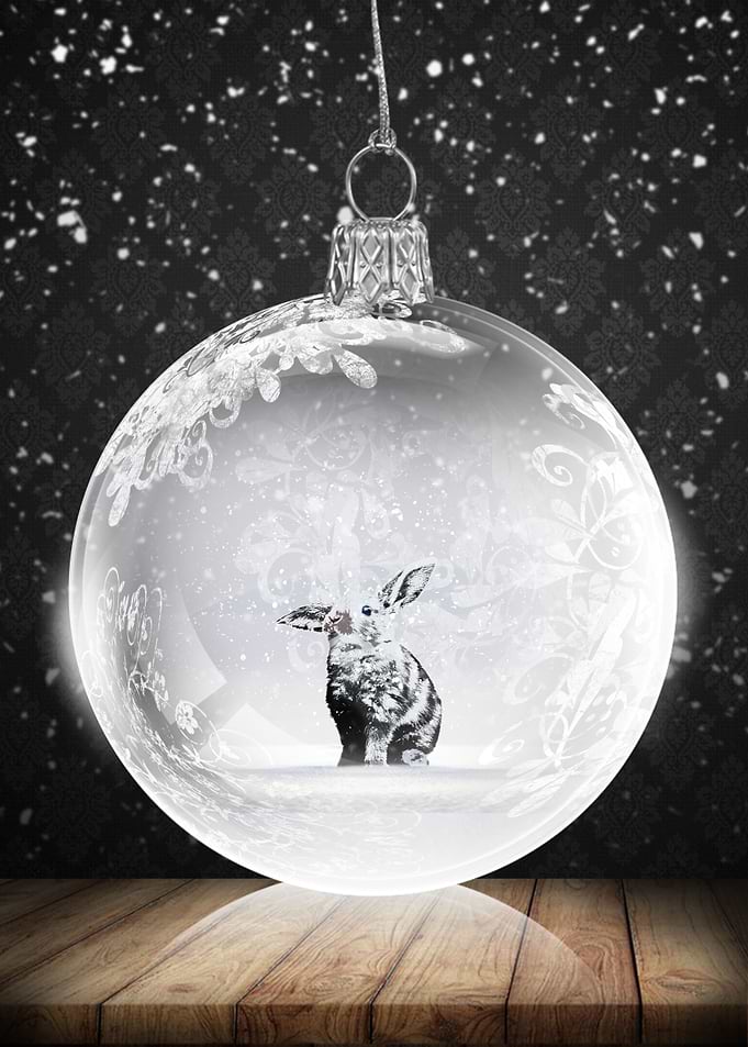 Bunny Globe