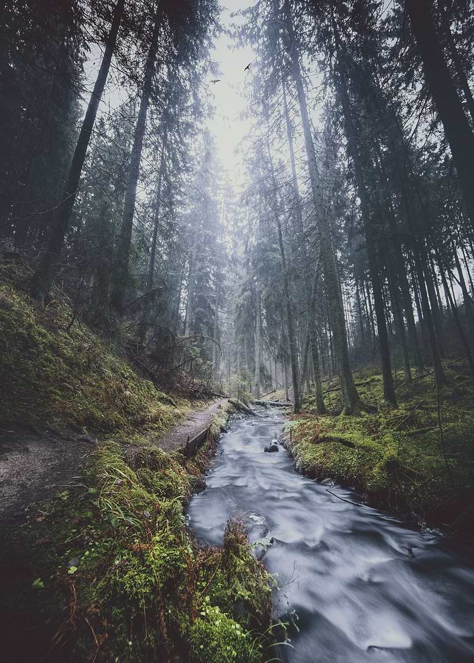 Damped Feelings