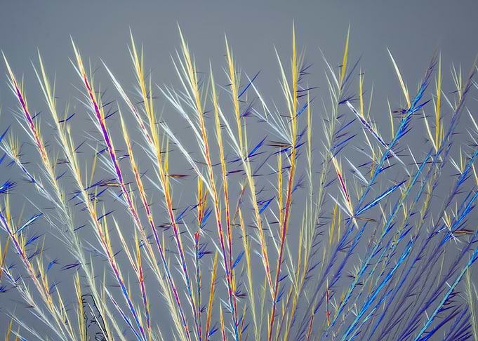 Aspirin Thorns