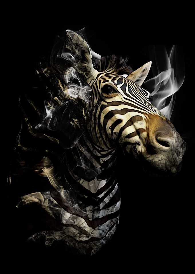 Smokey Z