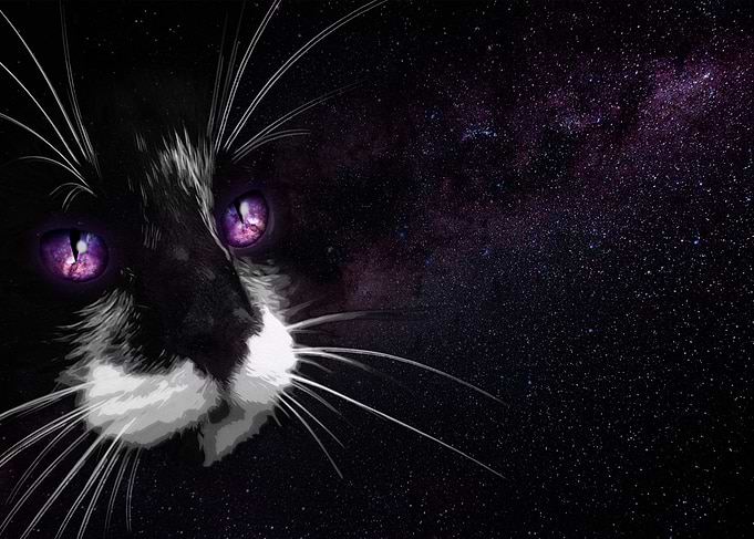 Space Kitty