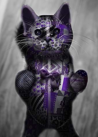 Button Kitty