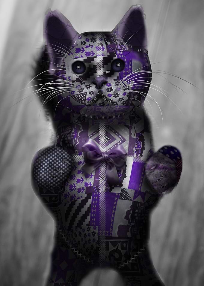 Button Kitty