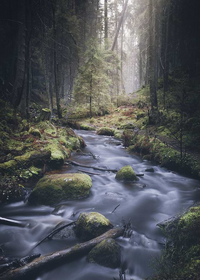 Silent Whispers