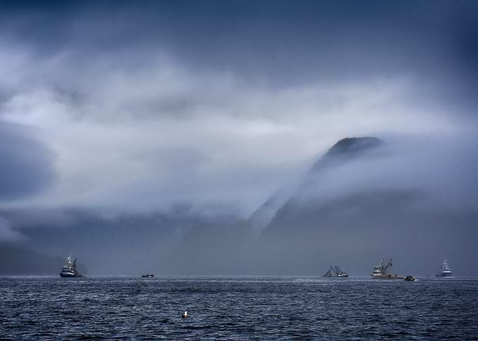 Salmon Seiners