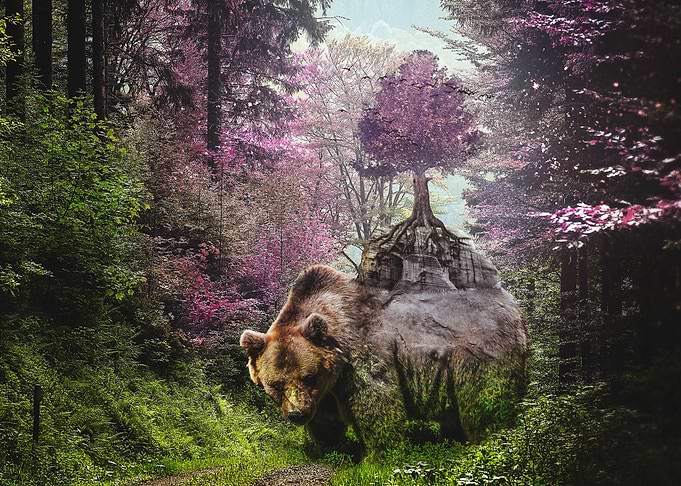 A blossoming bear