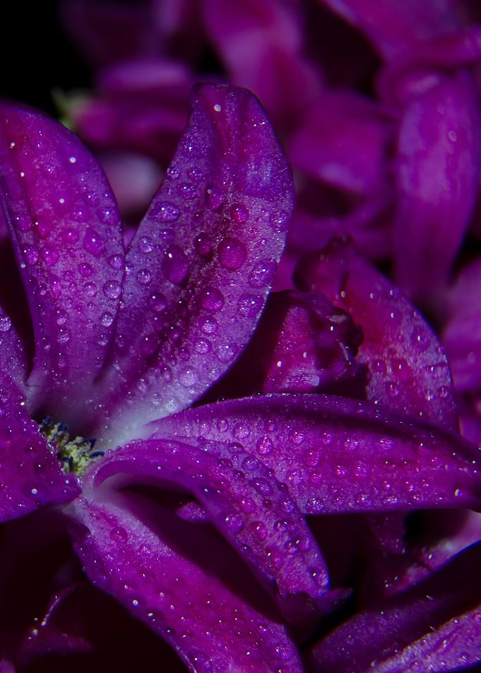 color