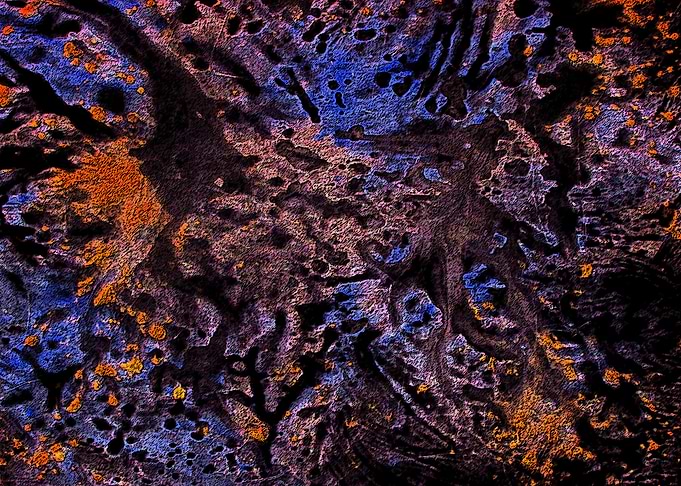 Space Oddity