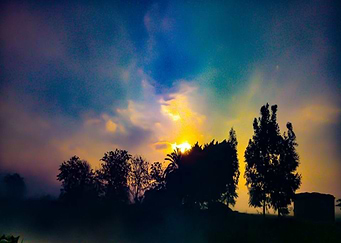 Latest drop