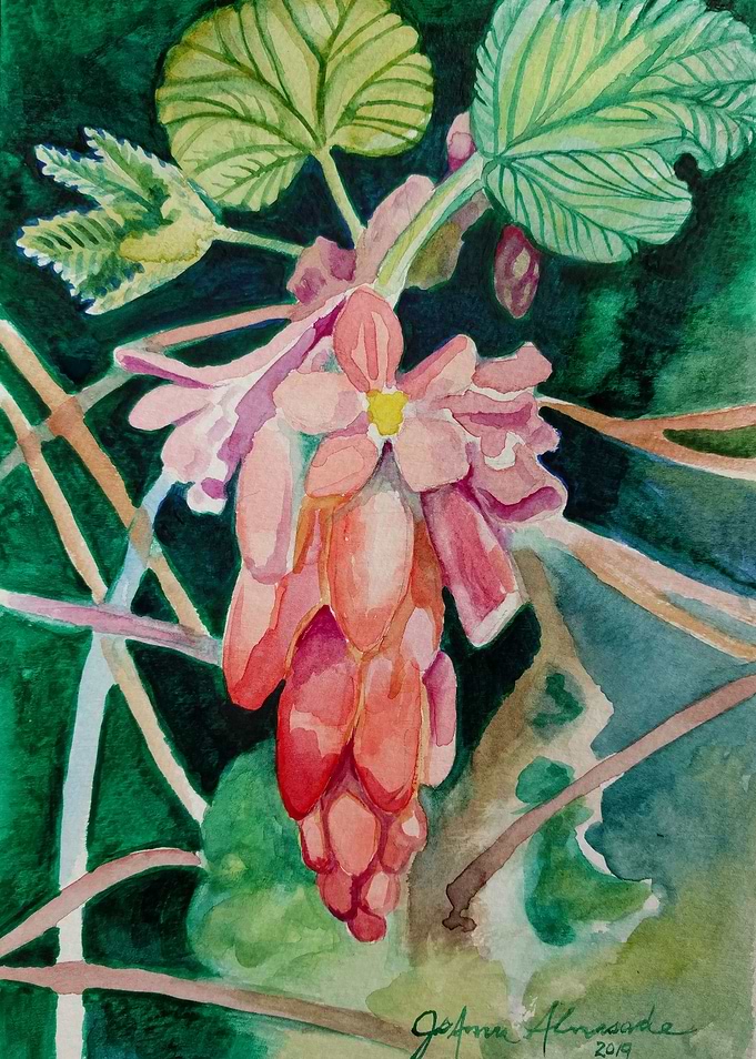 Flowering Currant Bush