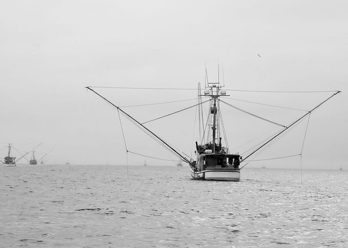 Long Liners