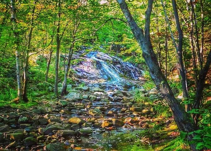 Northern Summer Waterfall