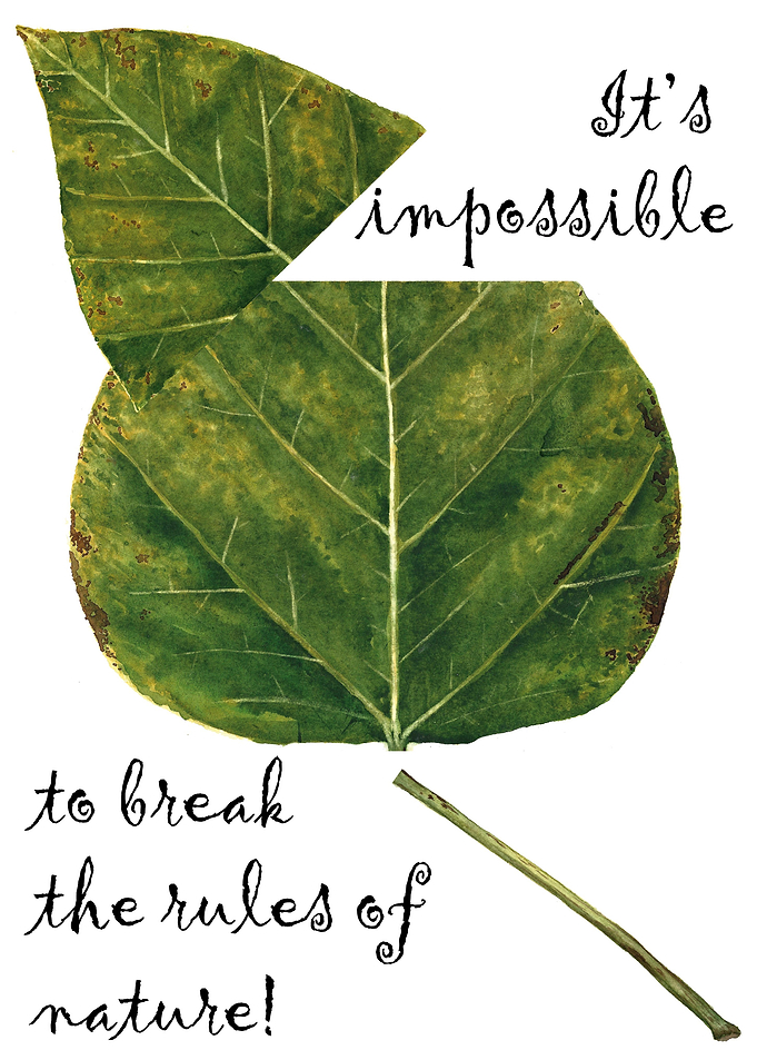 Piece of leaf