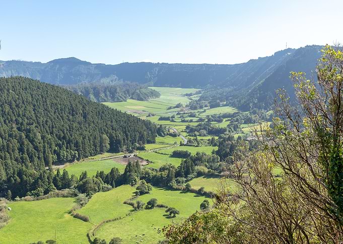 Valley of Green