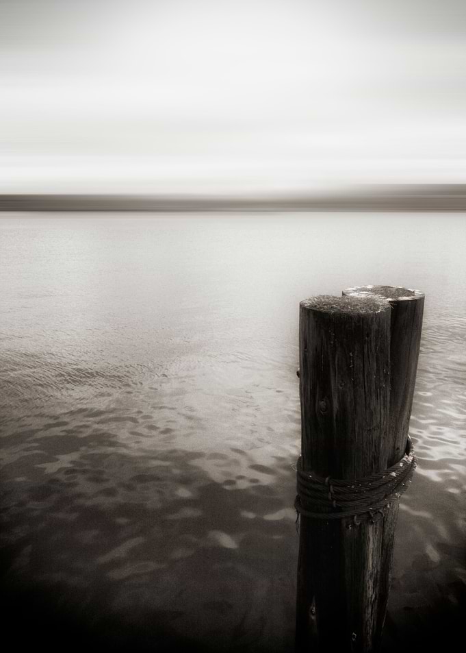 Seattle piling