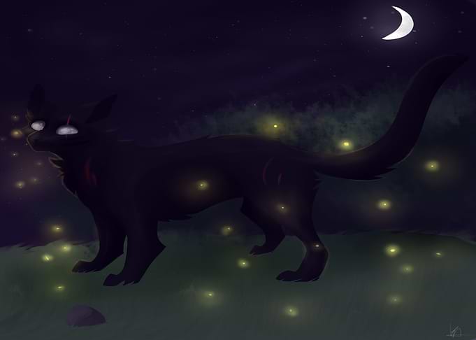 Beauty Of The Night