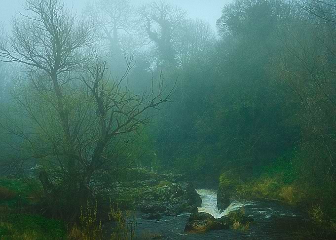 Misty Morning