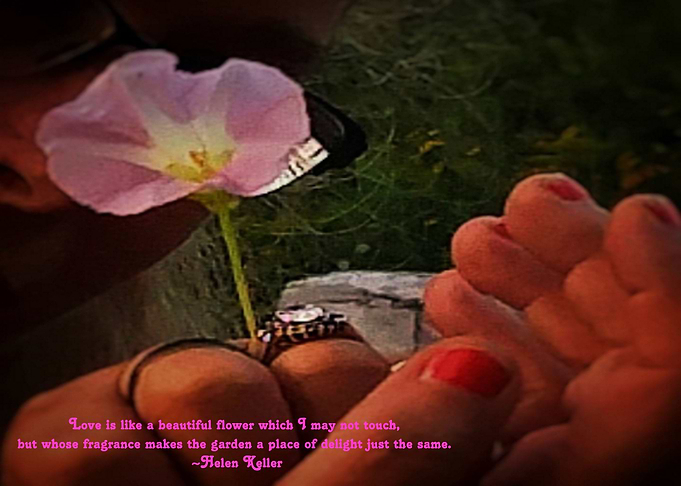 Flower Blooming Quote
