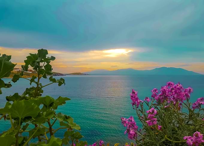 Lovely Sunset