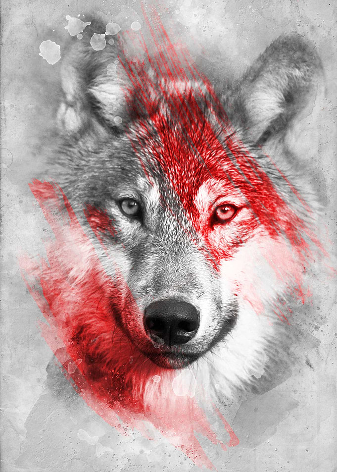 Wolf v2