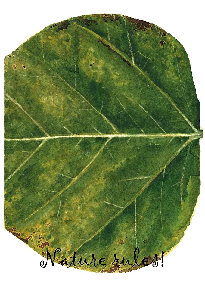 Leaf part 2
