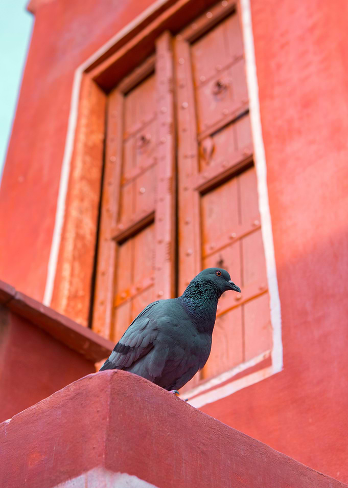 Architecture of Jaipur