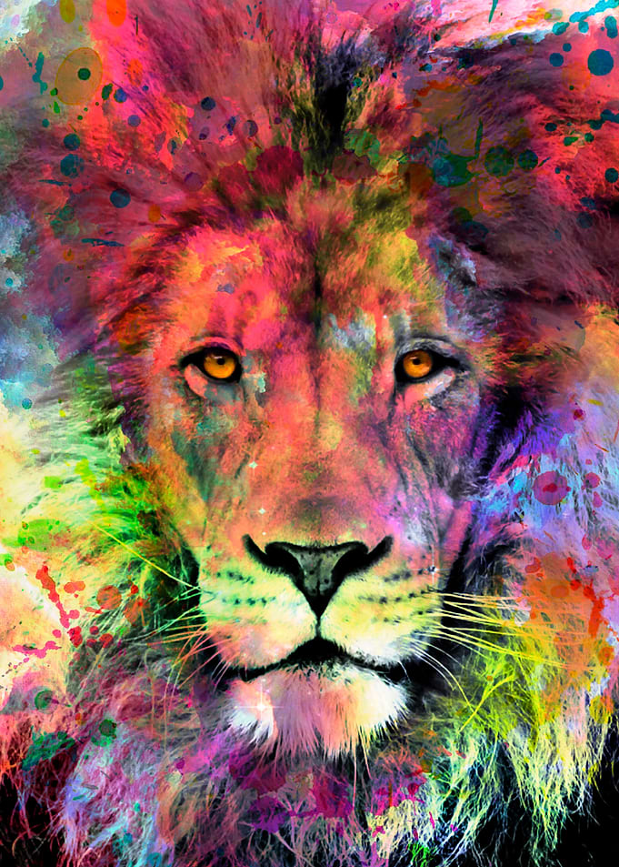 Lion in color