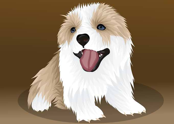 Cute dog