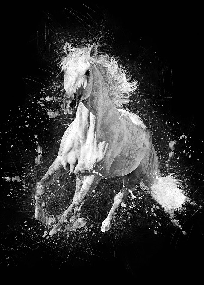 Horse Running