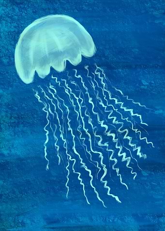 Jellyfish