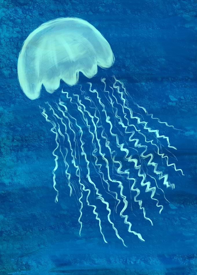 Jellyfish