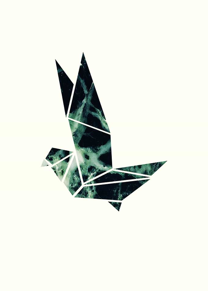 Bird Geometric