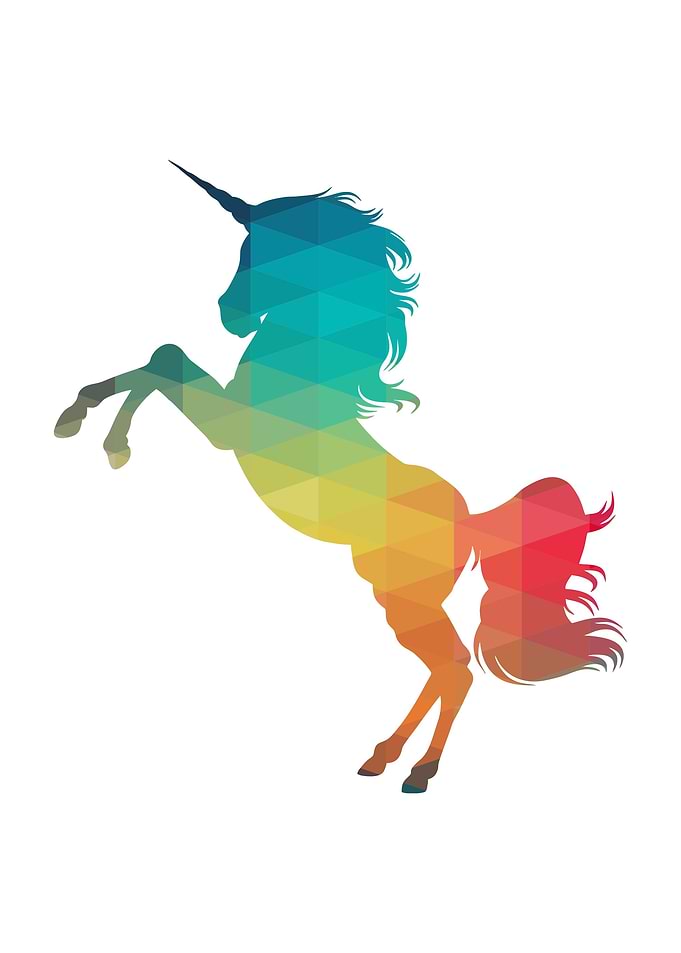 Rainbow unicorn